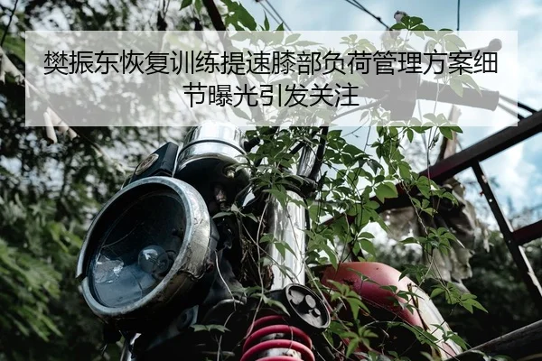 樊振东恢复训练提速膝部负荷管理方案细节曝光引发关注
